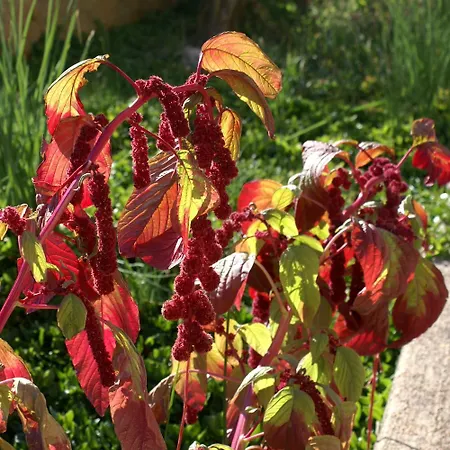 Apartman By The Sea - 846 Ugljan