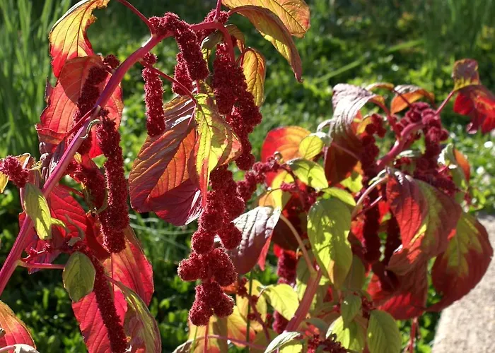 Apartmán By The Sea - 846 Ugljan